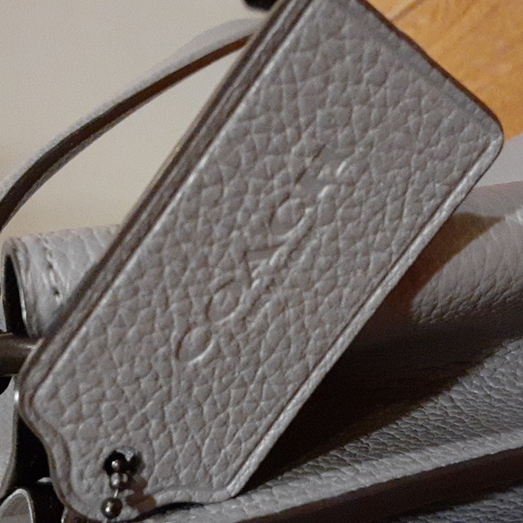 Light Light Gray Coach Bucket Willow Shoulder Bag - Picture 5 of 16